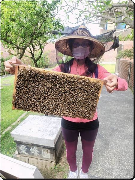 新竹景點推薦【竹北】愛蜂園《愛蜂主題館》☆預約制●寓教娛樂的