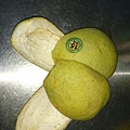 柚子皮1