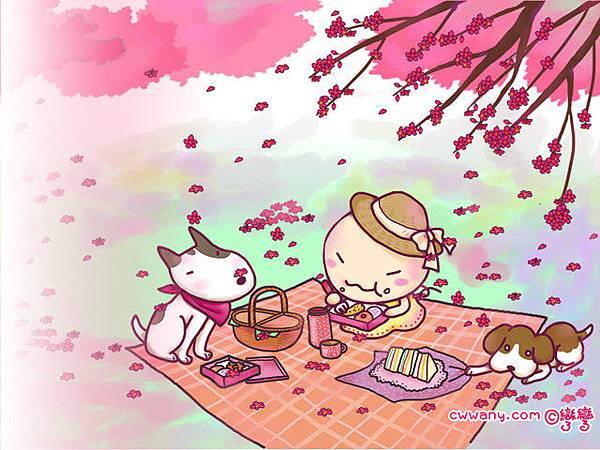 桌布-櫻花1024X768