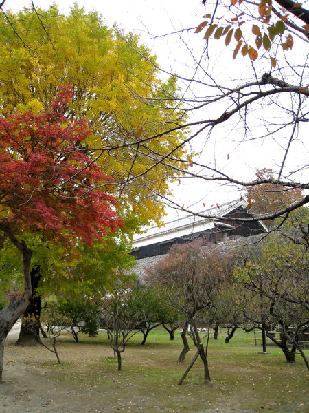 明明每張都很像，還是怕錯過什麼美景