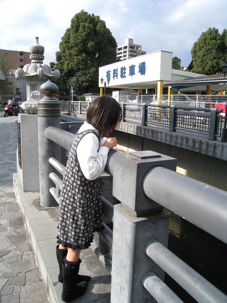 小妹妹專注地靠在河堤欄杆邊看鯉魚