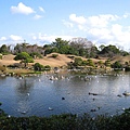 水前寺成趣園乃是仿造江戶時代從江戶日本橋至京都三条大橋間東海道上的五十三道美景縮小而建