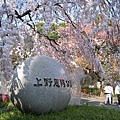 結束今日的上野公園賞花行程，肚子很餓