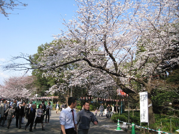 雖然是工作時間，上野公園裡仍充滿著西裝的上班族