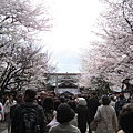 逛完吃的才想到還沒逛神社