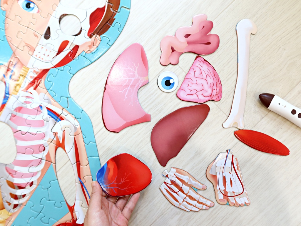 The Human Body 人體大解密拼圖書 點讀版：真實