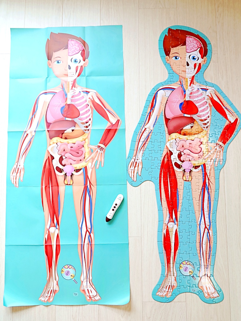The Human Body 人體大解密拼圖書 點讀版：真實