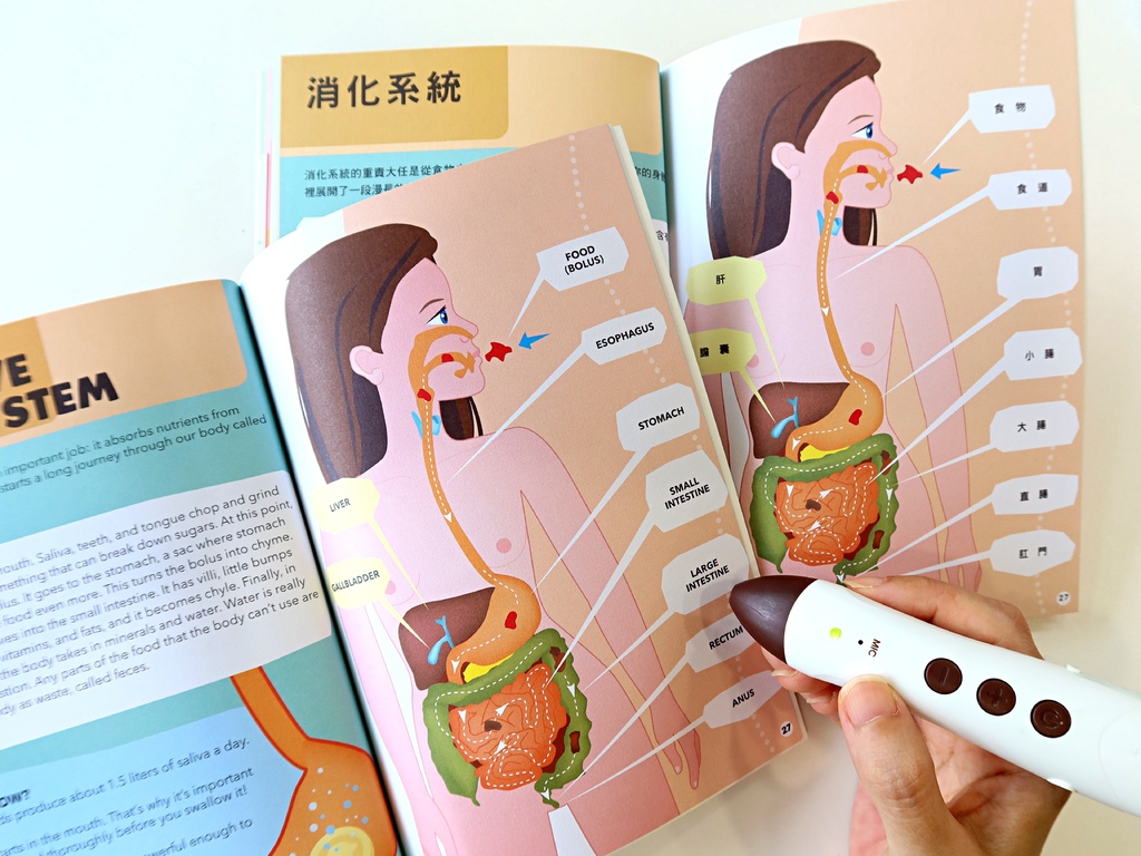 The Human Body 人體大解密拼圖書 點讀版：真實
