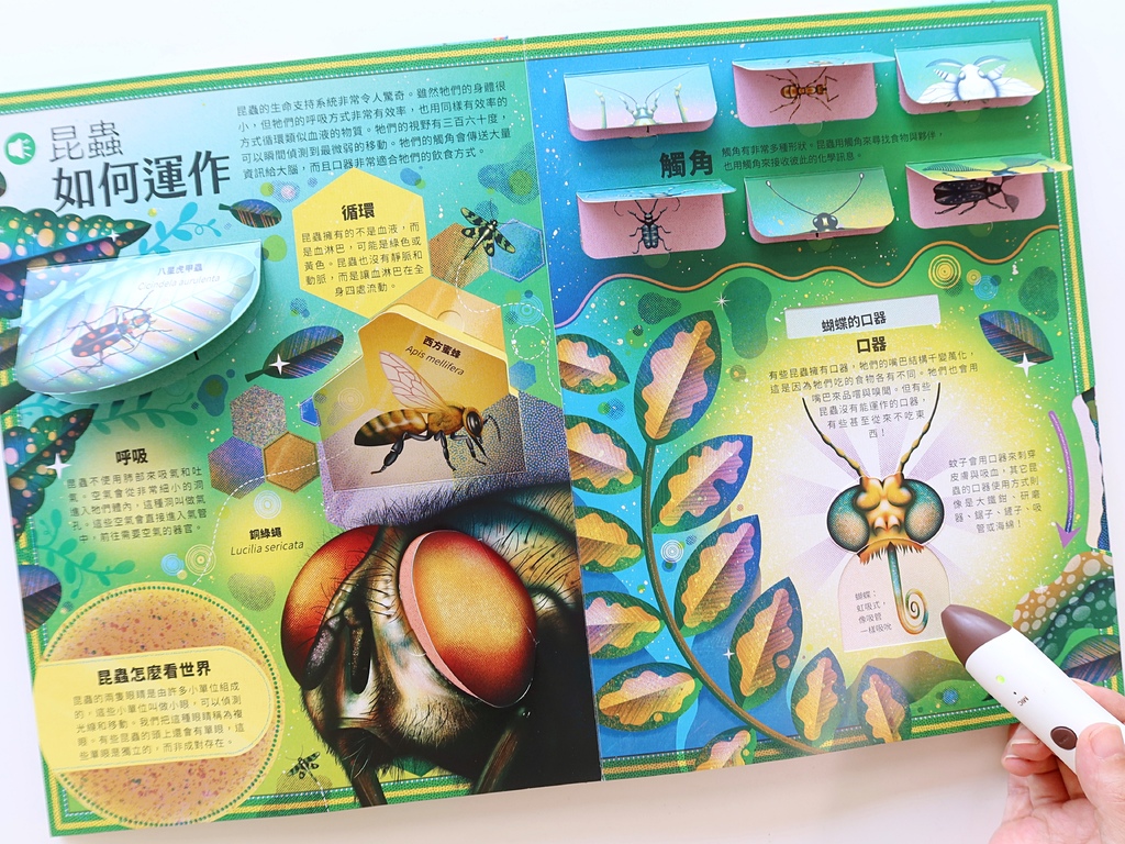 不可思議！昆蟲驚奇之旅 & 木乃伊神秘之旅 立體互動點讀書