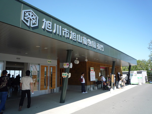 北海道之旅第二天，從札幌市區搭觀光巴士到旭川動物園，單程近3小時