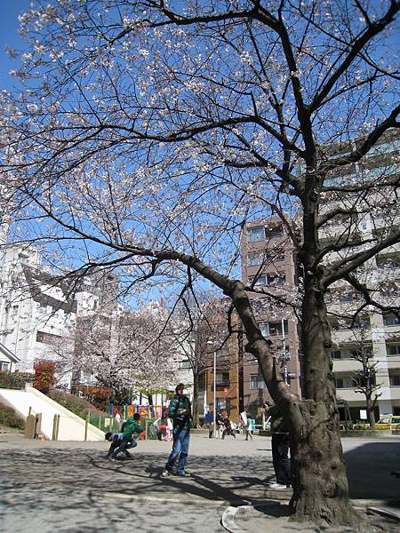 逛完樂天食品展回家，在麻布十番網代公園裡歇歇腳