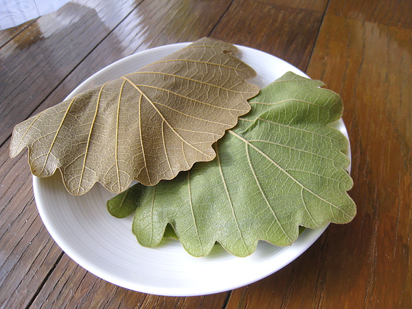 10春 南青山まめ的柏餅 御荻 豆大福 蕨餅等 吃柏餅 時我問大白 麻糬和紅豆餡好吃 可是你不覺得葉脈很硬嗎 大白上網孤狗 這才面有愧色的報告 欸 原來跟櫻餅不一樣 日本人吃柏餅通常是不吃葉子的 酪梨壽司的相簿