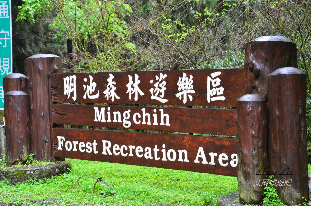 馬告1101.JPG 馬告1101.JPG