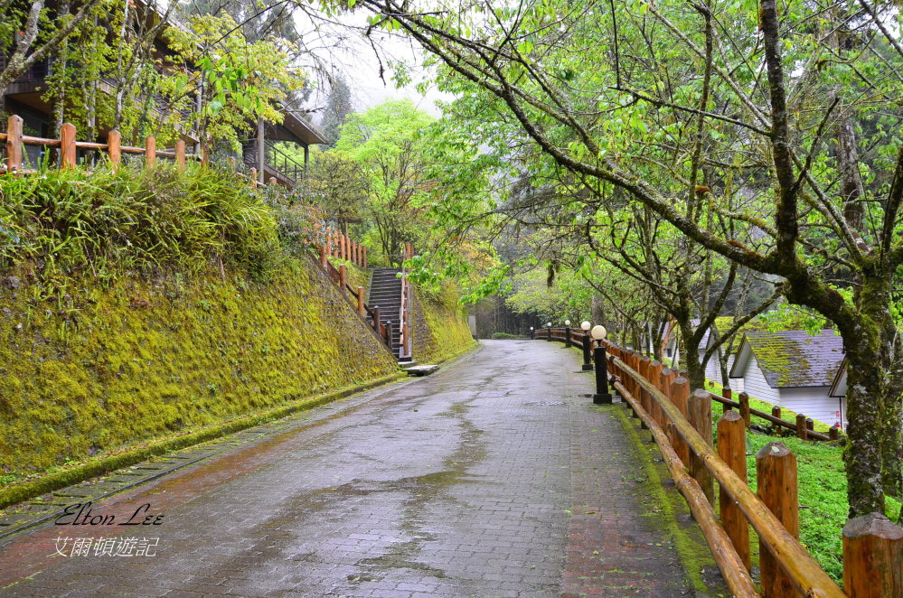 馬告1105.JPG 馬告1105.JPG