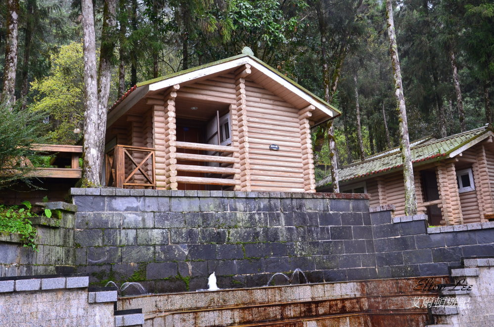 馬告1108.JPG 馬告1108.JPG