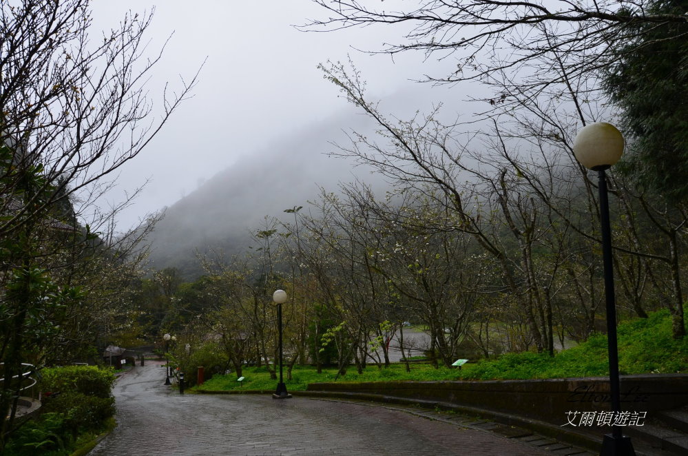 馬告1109.JPG 馬告1109.JPG