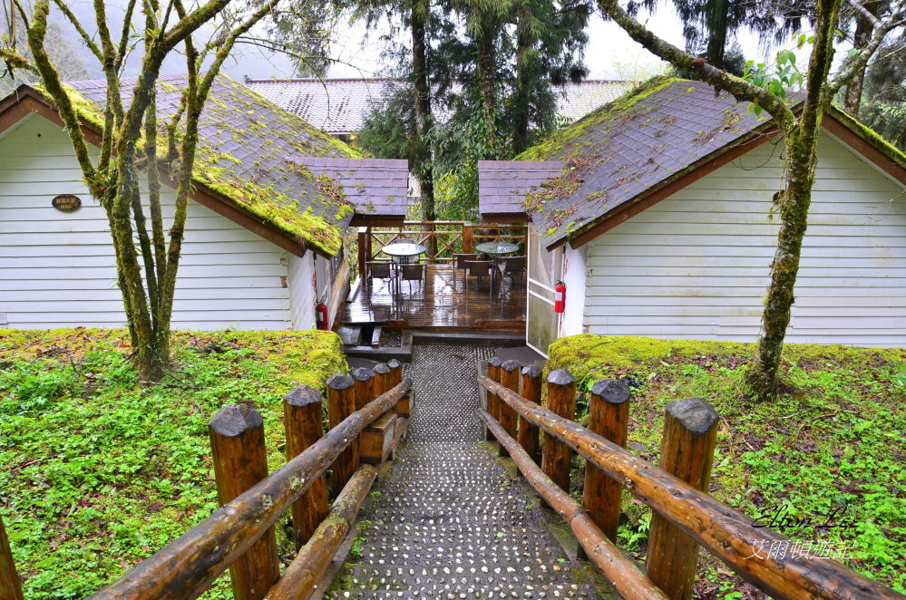 馬告1107.JPG 馬告1107.JPG