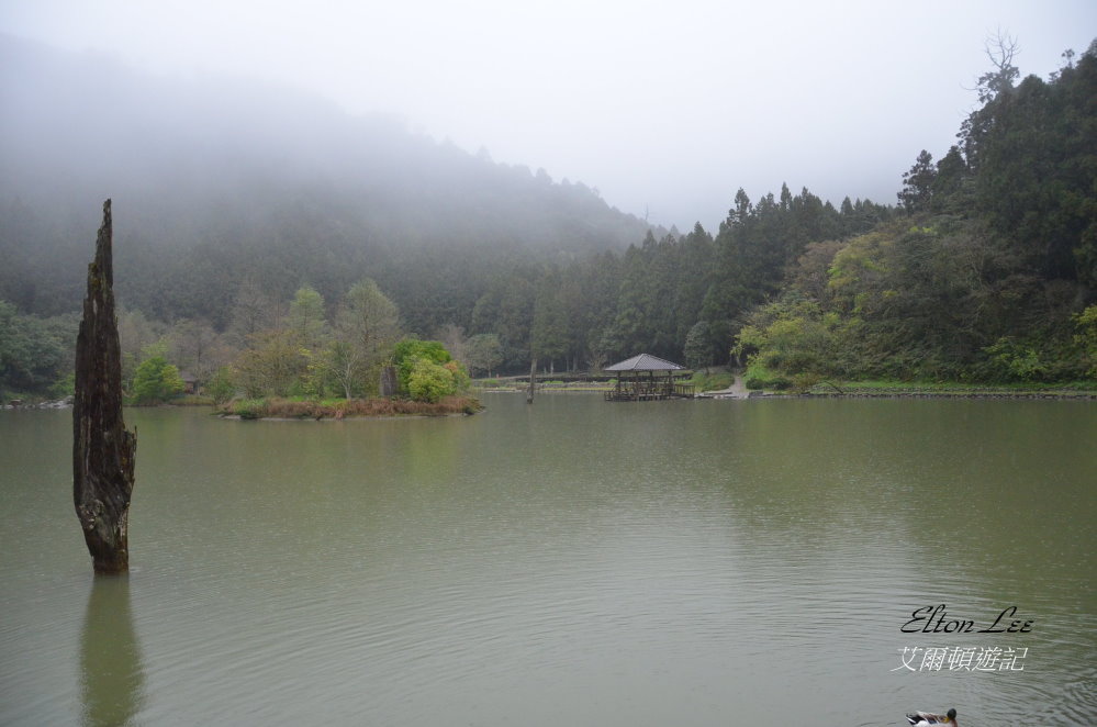 馬告1114.JPG 馬告1114.JPG