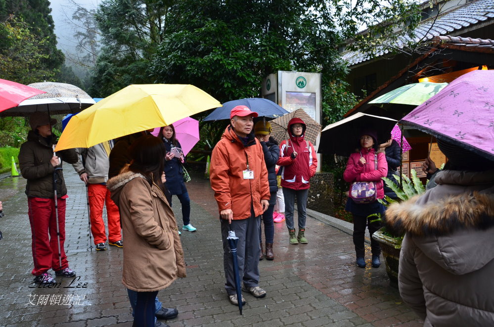 馬告1112.JPG 馬告1112.JPG