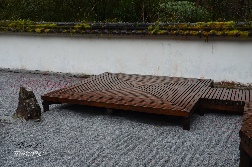 馬告1119.JPG 馬告1119.JPG