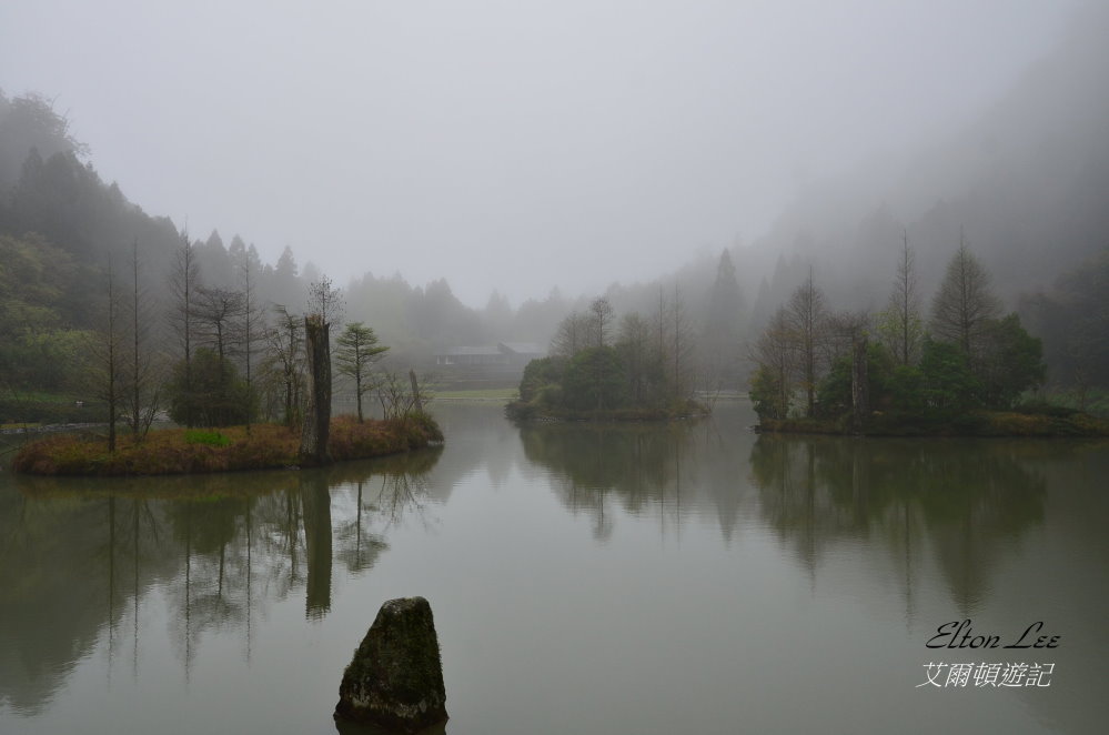 馬告1122.JPG 馬告1122.JPG