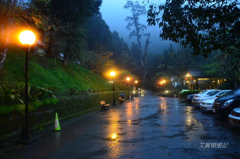 馬告1133.JPG 馬告1133.JPG