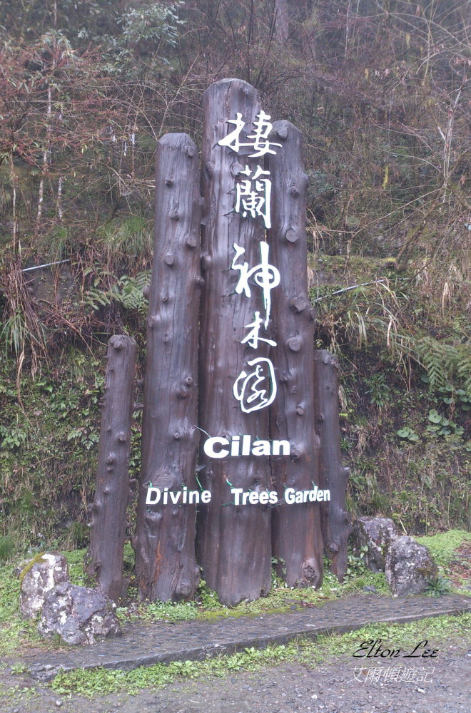 馬告1135.JPG 馬告1135.JPG