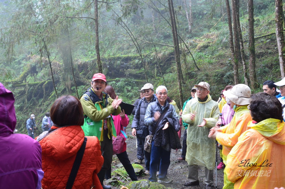 馬告1146.JPG 馬告1146.JPG