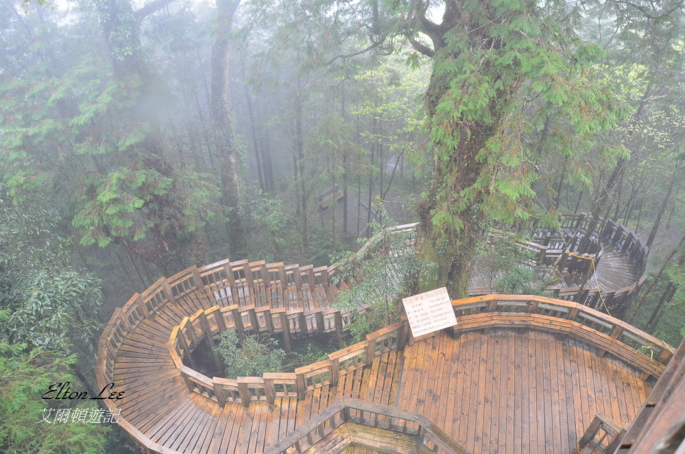 馬告1147.JPG 馬告1147.JPG