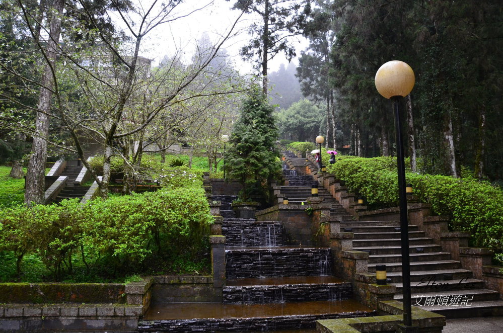 馬告1124.JPG 馬告1124.JPG