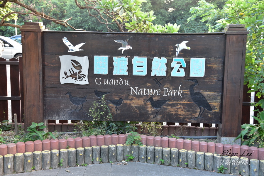 關渡自然公園102.JPG