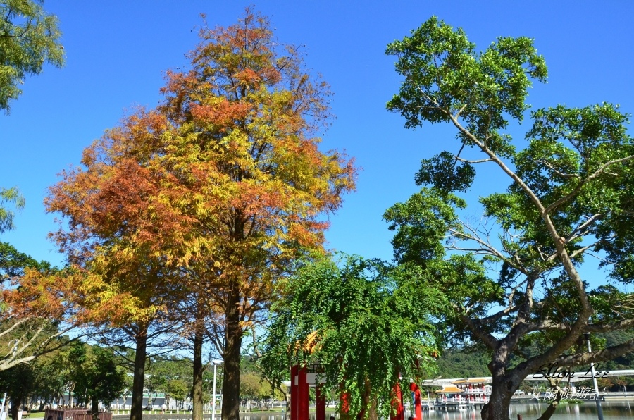 大湖公園135.JPG