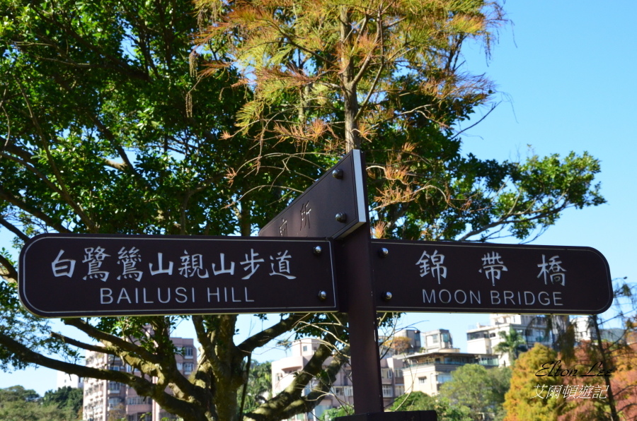 大湖公園150.JPG