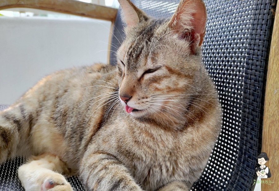 雙流瀑布110.jpg 雙流瀑布110.jpg