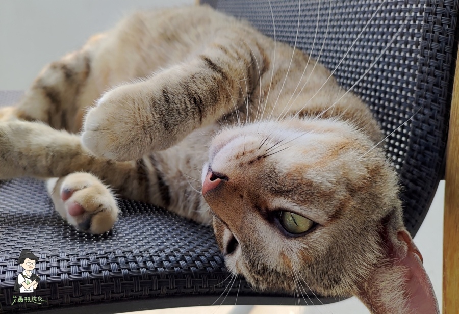 雙流瀑布111.jpg 雙流瀑布111.jpg