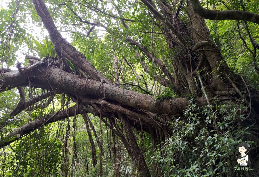 雙流瀑布133.jpg 雙流瀑布133.jpg