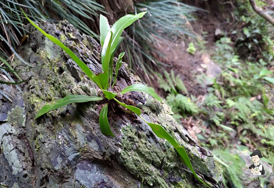 雙流瀑布134.jpg 雙流瀑布134.jpg