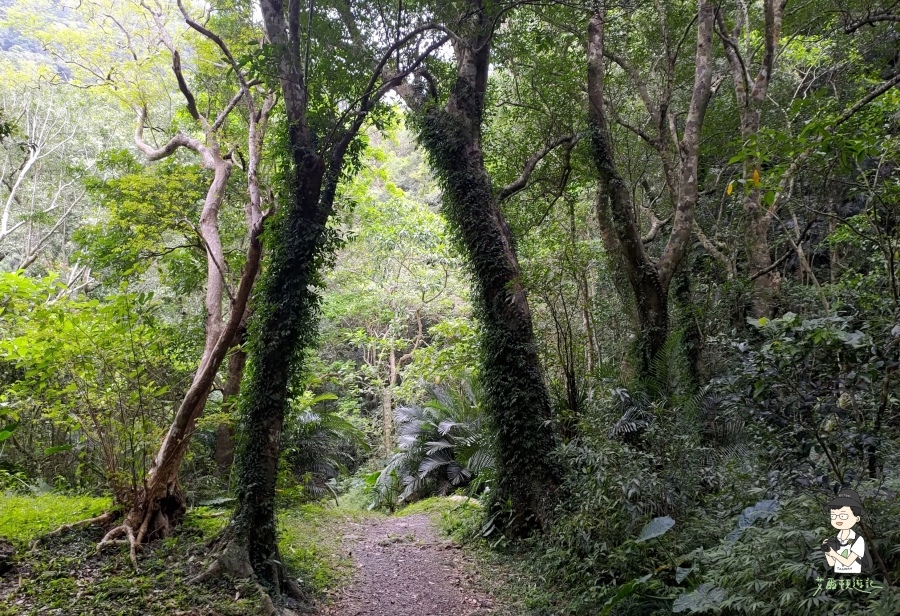 雙流瀑布137.jpg 雙流瀑布137.jpg