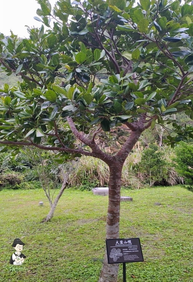 雙流瀑布158.jpg 雙流瀑布158.jpg