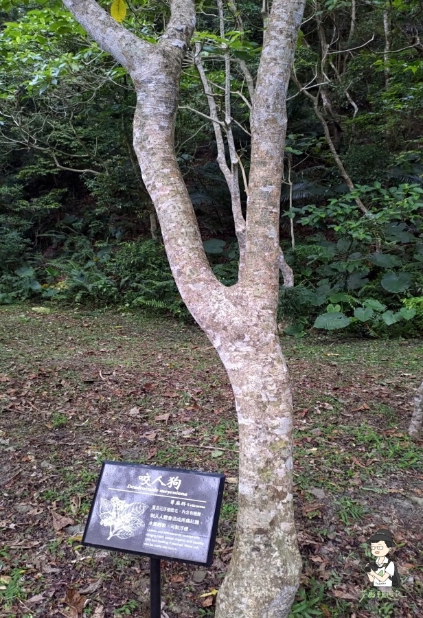 雙流瀑布161.jpg 雙流瀑布161.jpg