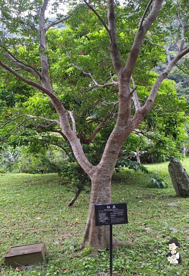 雙流瀑布159.jpg 雙流瀑布159.jpg