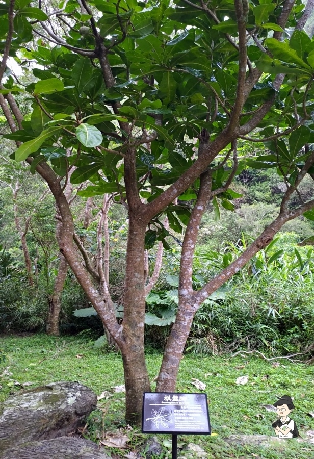 雙流瀑布160.jpg 雙流瀑布160.jpg