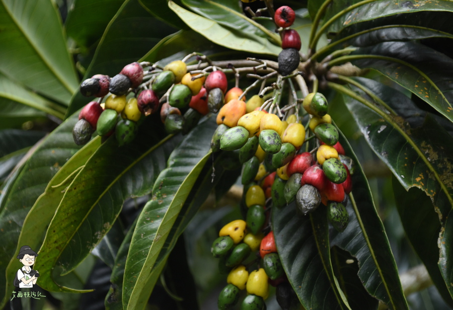 雙流瀑布164.JPG 雙流瀑布164.JPG