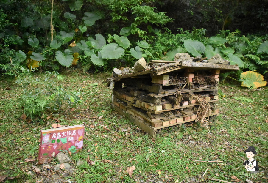 雙流瀑布174.JPG 雙流瀑布174.JPG