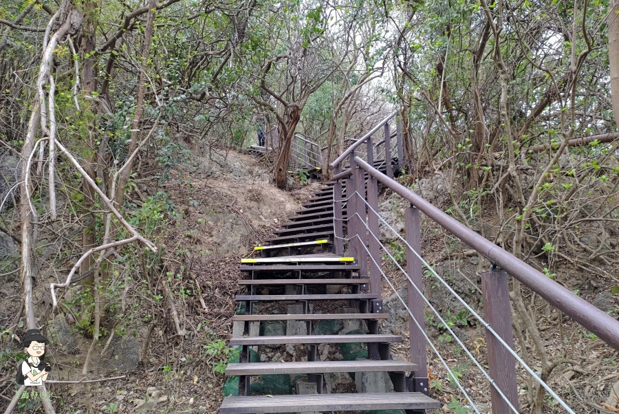 柴山111.jpg 柴山111.jpg