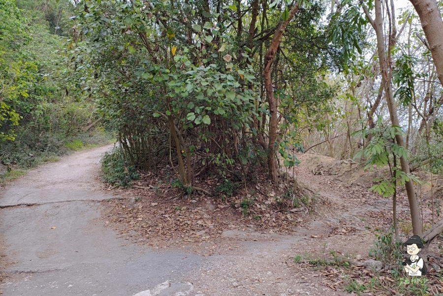 柴山115.jpg 柴山115.jpg