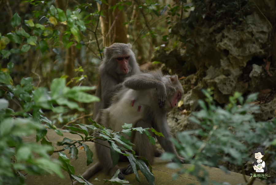 柴山120.JPG 柴山120.JPG