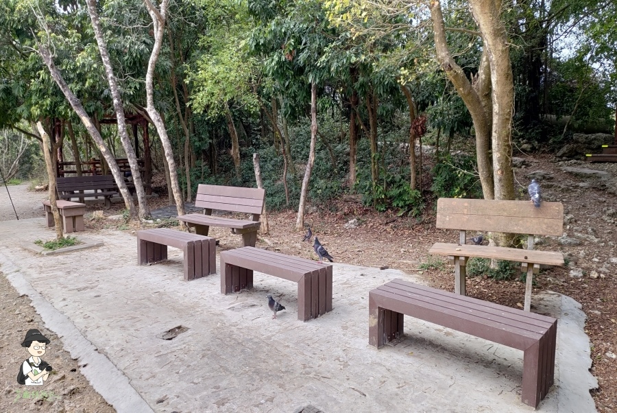 柴山116.jpg 柴山116.jpg