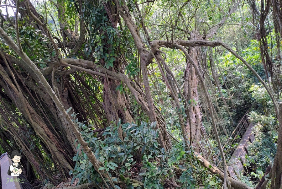 柴山132.jpg 柴山132.jpg