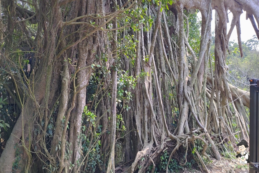 柴山130.jpg 柴山130.jpg